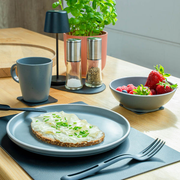Silwy Magnetic Dish Set (MPN: SYBR-KGS-11-A)