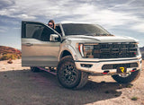 PowerStep Vision Running Board (MPN: 96140-01A)