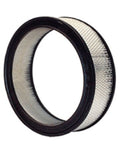 Wix Filters Air Filter (MPN: 42098)