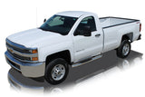 Raptor Series Stainless Steel Oval Step Bar (MPN: 1603-0371)