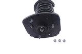 KYB Strut-Plus Strut Assembly (MPN: SR4003)