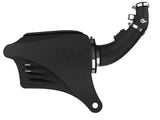 Advanced FLOW Engineering Momentum GT Pro DRY-S Cold Air Intake (MPN: 51-76314)