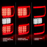 AnzoUSA Tail Light Assembly (MPN: 311316)