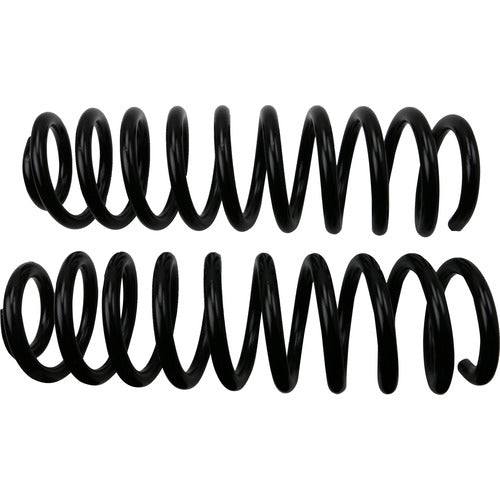 Moog Chassis Coil Spring Set (MPN: 81730)