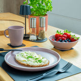Silwy Magnetic Dish Set (MPN: SYBR-KGS-11-R)