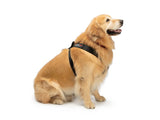 WeatherTech Pet Harness (MPN: 84PH3134BK)