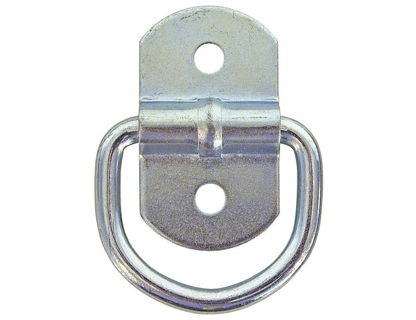 D-Ring with Clip by Buyers Products (MPN: B23PKGD)