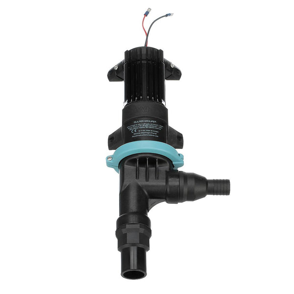 WHALE Livewell Baitwell Pump (MPN: BP4772)