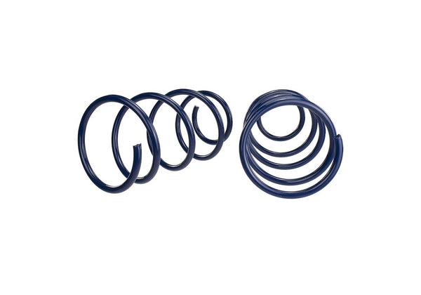 Ford Performance Coil Spring Set (MPN: M-5300-RA)