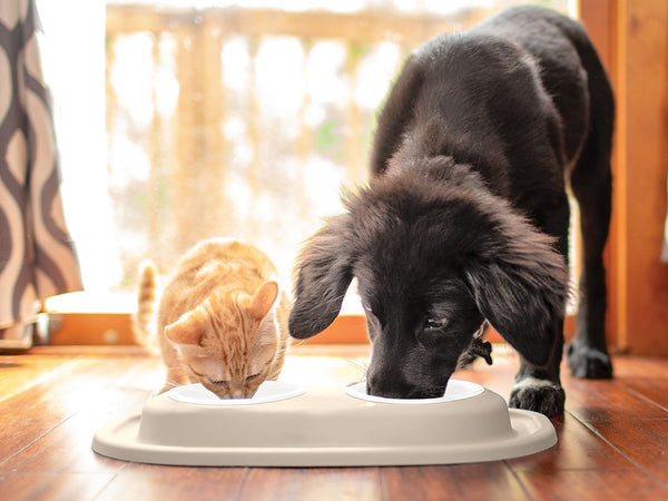 Weathertech Double Pet Dish (MPN: DL1602TN)