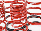 Skunk2 Lowering Kit (MPN: 519-05-1575)