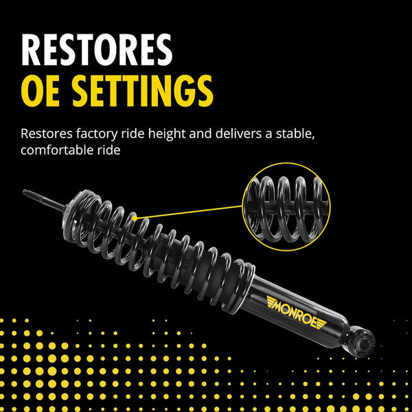 Monroe Suspension Conversion Kit (MPN: 90005C1)