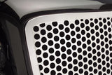 Putco Designer Grille Insert (MPN: 93160)