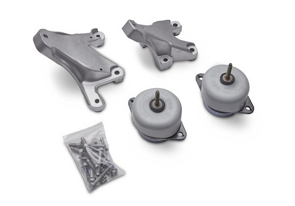Ford Performance Motor Mount Set (MPN: M-6038-M50)