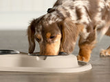 Weathertech Pet Dish (MPN: DL0801TN)