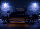 PowerStep Vision Running Board (MPN: 96255-01A)