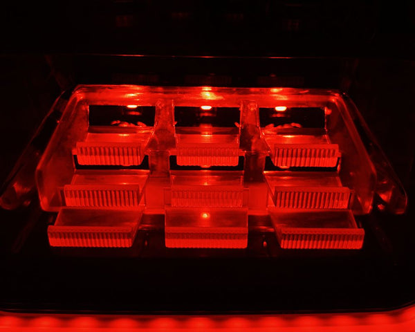 Quake LED Tail Light Assembly (MPN: QTE1184)