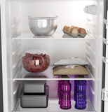 GE Profile Dual Compartment Refrigerator (MPN: PPV10R5YRBB)