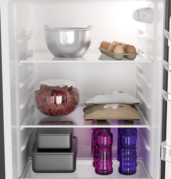 GE Profile Dual Compartment Refrigerator (MPN: PPV10R5YRBB)