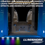 Lumishore Light Control Module (MPN: 010-04442-00)