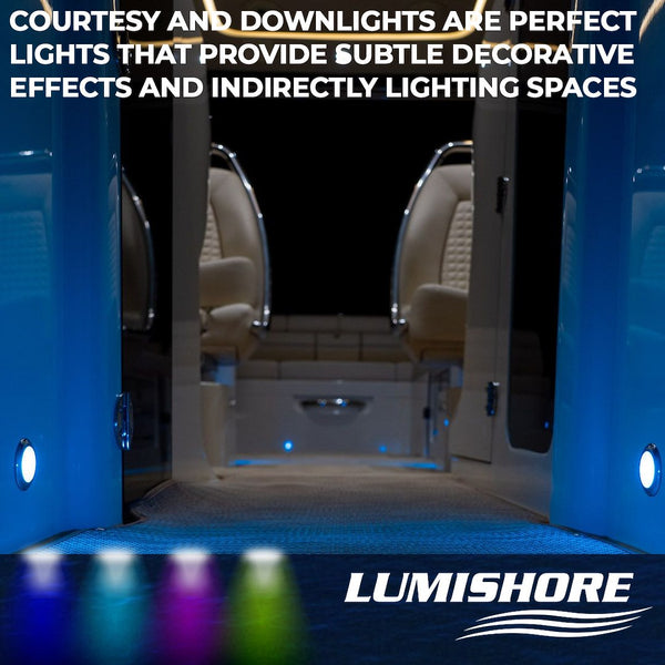 Lumishore Light Control Module (MPN: 010-04442-00)