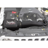 Banks Power Cold Air Intake System (MPN: 41843)