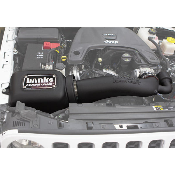 Banks Power Cold Air Intake System (MPN: 41843)