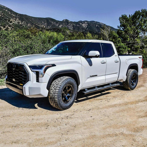 Westin R5 Nerf Step Bars (MPN: 28-51335)