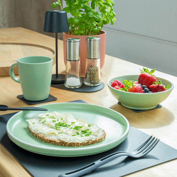 Silwy Magnetic Dish Set (MPN: SYBR-KGS-11-G)