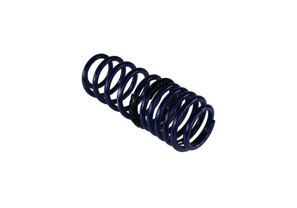 Ford Performance Coil Spring Set (MPN: M-5300-KA)