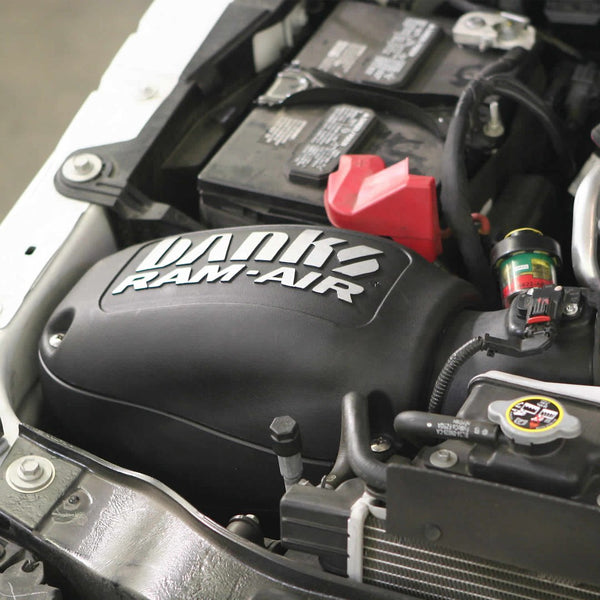 Banks Power Cold Air Intake System (MPN: 42215)