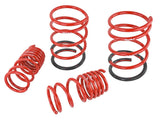 Skunk2 Lowering Kit (MPN: 519-05-1575)