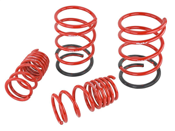 Skunk2 Lowering Kit (MPN: 519-05-1575)