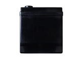 XS Power XP Series AGM Battery (MPN: XP1000)