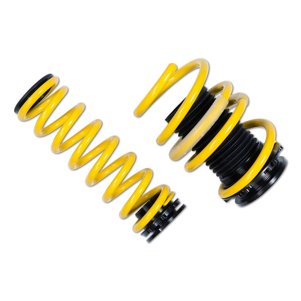Suspension Techniques Adjustable Lowering Springs (MPN: 27350036)