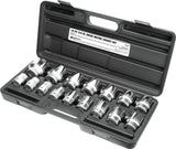Wilmar Corporation Socket Set (MPN: W34906)