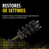 Monroe Suspension Conversion Kit (MPN: 90026C1)