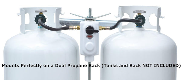 Flame King Propane Regulator (MPN: KT12ACR6)