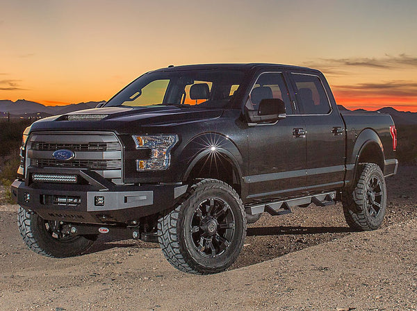 Raptor Series Rocker Panel Guard (MPN: RTS22FD)