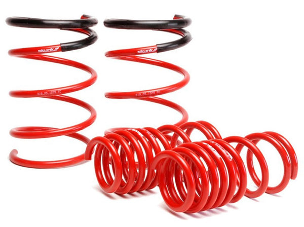 Skunk2 Lowering Kit (MPN: 519-05-1575)