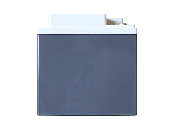 XS Power Batteries D Series AGM Battery (MPN: D1200)