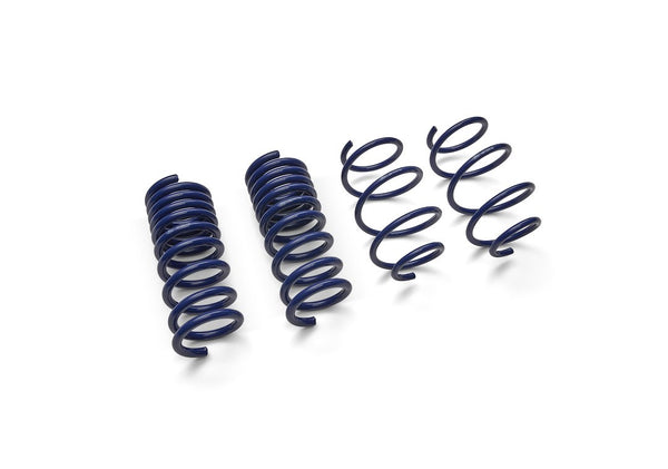 Ford Performance Coil Spring Set (MPN: M-5300-XA)