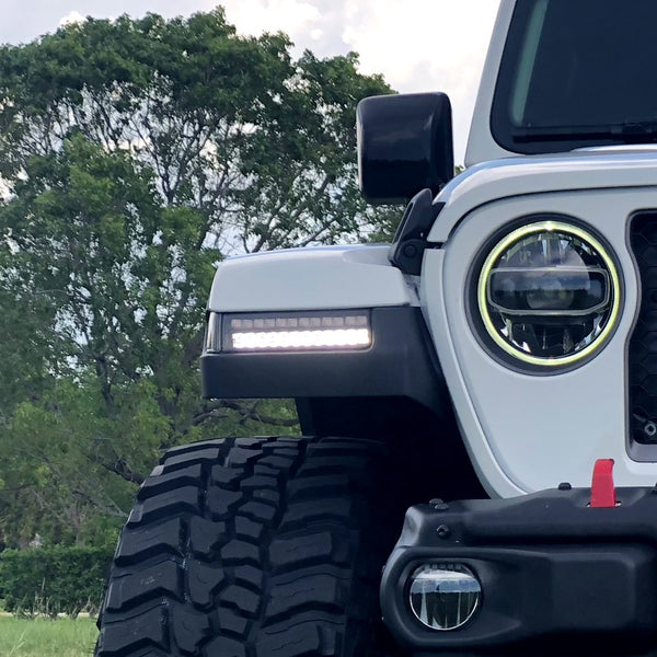 Recon Accessories Turn Signal Light Assembly (MPN: 264148BK)