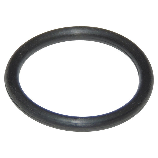 Transfer case shifter shaft seal (MPN: 4338956)