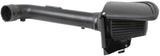 Blackhawk Induction Cold Air Intake System (MPN: 71-1566)
