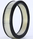 Wix Filters Air Filter (MPN: 42095)