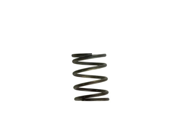 Turbosmart Turbocharger Wastegate Spring (MPN: TS-0505-2002)