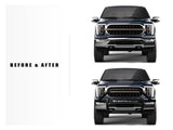 Armordillo Grille Guard (MPN: 8724187)