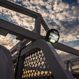NACHO TM5 Fleet Light (MPN: TM513)