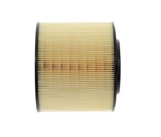 Pro-Tec Air Filter (MPN: PXA10866)